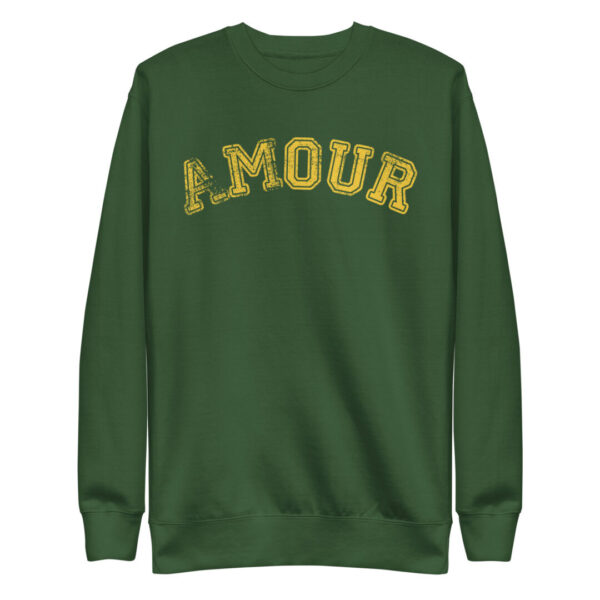 Amour Premium College Style Sweatshirt