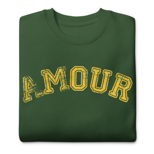 Amour Premium College Style Sweatshirt - Image 2