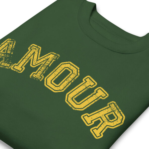 Amour Premium College Style Sweatshirt - Image 3